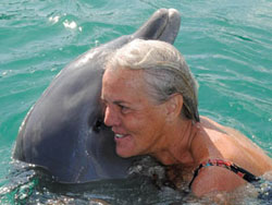 mit Delphinen schwimmen